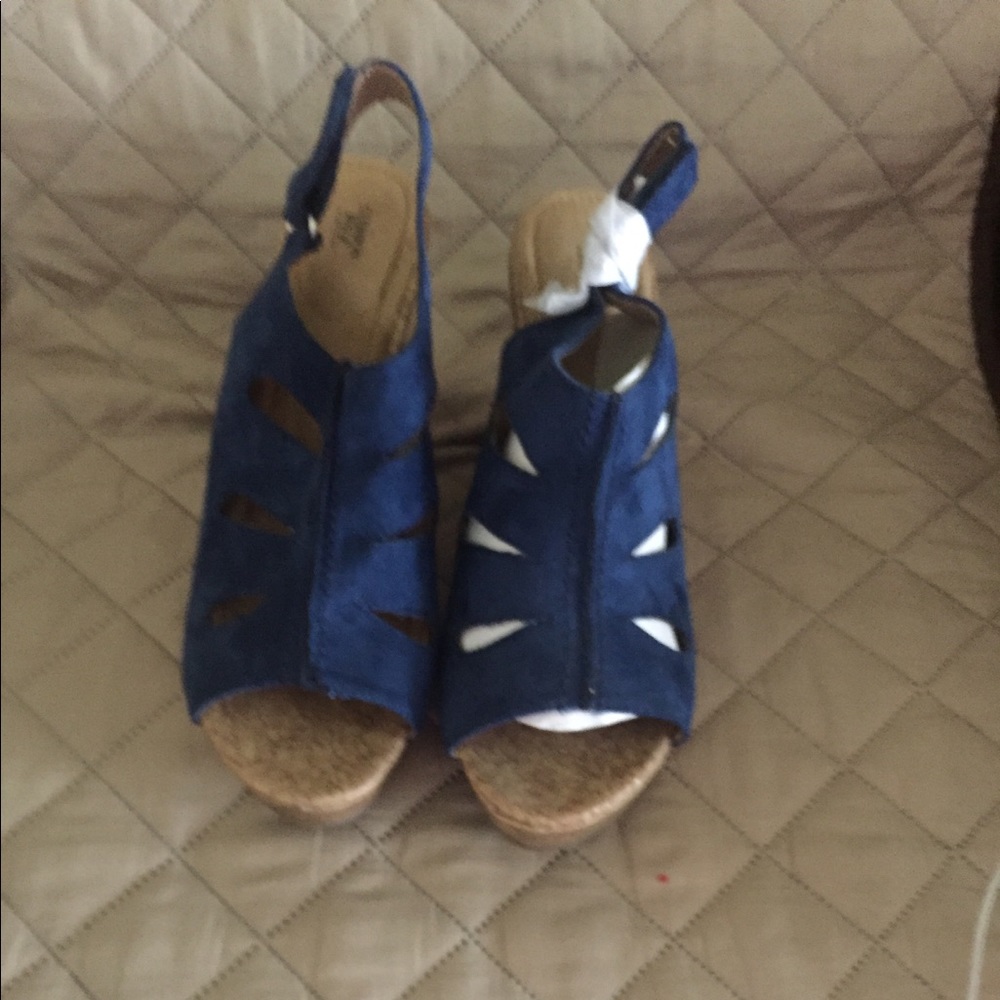 Blue wedges